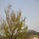 해남항일운동추모비 이미지