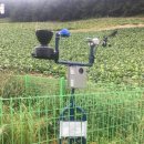 와이즈팜 이미지