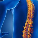 홍대영한의원 이미지