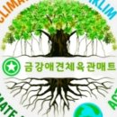 용인대 드림유도체육관 이미지