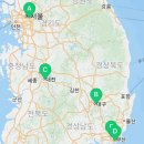 낭만펫 강아지분양 고양이분양 대전 본점 이미지