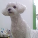 난향동-12 이미지