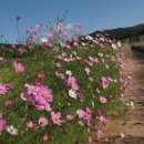 주실마을 주차장 이미지