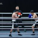 동양복싱체육관 | 마동석의 첫 예능 &#39;아이 엠 복서&#39; - K복싱, 출연진, 참가자, OTT 다시보기 우승 차량