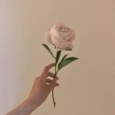 DNA는 은하계의 청사진이자 포털 이미지