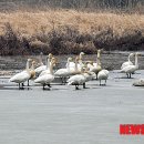 동림농장 이미지