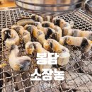 UR(화성시)-중(국)2-1[10용사로]-상-1 | 봉담 소장농｜가성비 좋은 숯불 장어, 소고기 정육식당 내돈내산 방문 후기