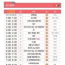 수원-1981 이미지