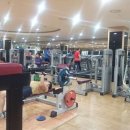 웰브릿지 스포츠 이미지