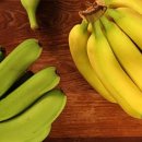 김종태농장 이미지