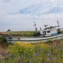 풍경을 담다, 어반스케치 이미지