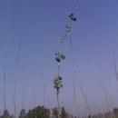 잠무농장 이미지