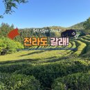 노계1동마을회관 | 추석 황금 연휴에 뭐하지? 전라도 여행 갈래!