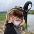 청도천5 이미지