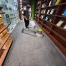 YES크리닝 | 먼지와 세균의 온상? 관공서 카페트 크리닝으로 쾌적한 업무 환경 만들기