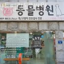 세인트필립동물병원 이미지
