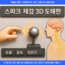 (주)삼용환경 | 학술적 정리: 인체전자석 기반 스파크 및 섬광 현상