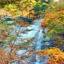 축제코스 이미지