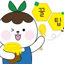 호텔몽듀 네이버블로그