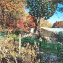 도봉-도봉-서울도봉-2021 이미지