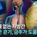 ‘지방간’ 부지런히 움직여도, 술 안 마셔도 걸린다! 정답은 바로? | 나의 주치의K 이미지