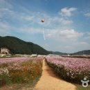 곤북로 이미지