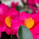 백화여관 이미지