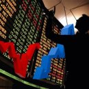 일신바이오테크 이미지