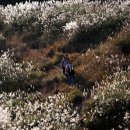 오늘의 포토 뉴스(05/10/19) 이미지