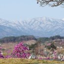 영서네 이미지
