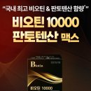 맥스바이오 머니투데이