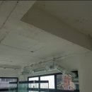 제이케이펫샵