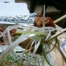 파랑파닭 이미지