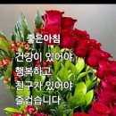 수요일 이미지