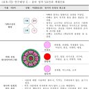 색채