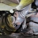 오거리카 이미지