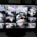 송탄중앙어린이집 이미지