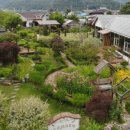 파마.커피
