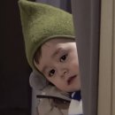 한식 디저트 만들기 이미지