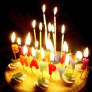 더 휴(B) Daum카페