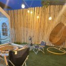 홍시스테이 이미지