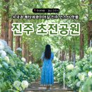 세븐일레븐 진주초전공원점 | 수국과 메타세콰이어길 인스타 명소 [진주 초전공원]