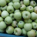 강채일농장 이미지