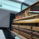 동백평촌로 이미지