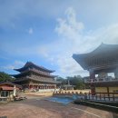 대포숲 | 제주 올레 8코스 완주 후기 약천사·대포주상절리·논짓물까지 힐링 걷기