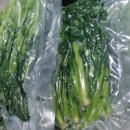 정보농장 이미지