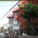 원미유치원, 새론원미유치원 이미지