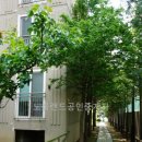 랜드정문공인중개사사무소 이미지