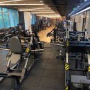 브라운 휘트니스 이미지