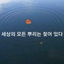 뿌리세상